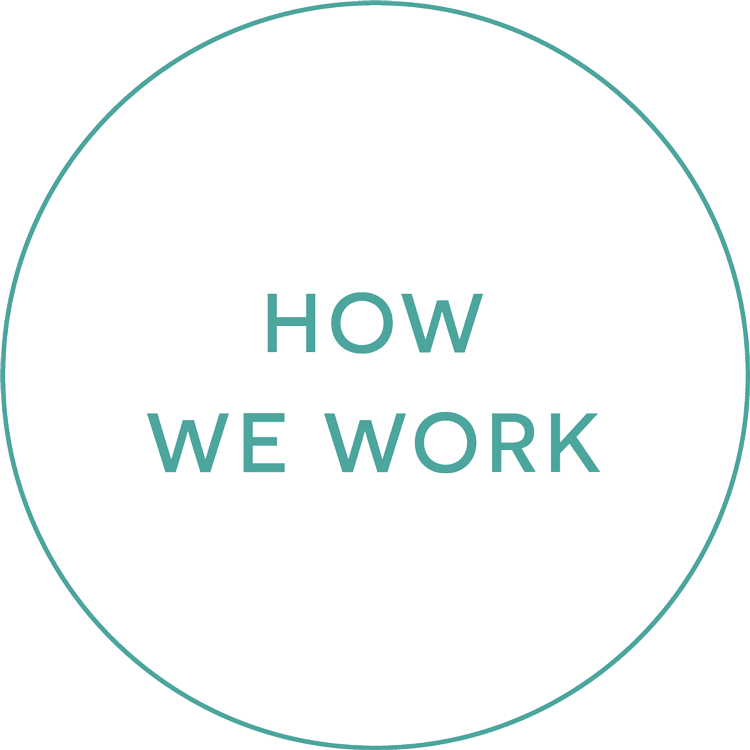 How We Work