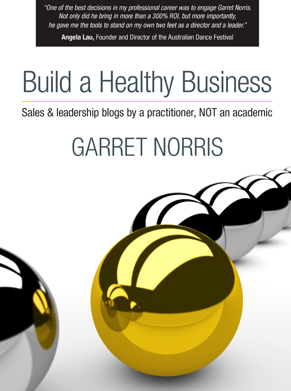 Build a Healthy Business – sales & leadership blogs by a practitioner, NOT an academic by Garret Norris